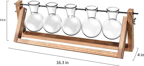 Glass Planter Bulb Vase with Retro Solid Wooden Stand and Metal Swivel Holder for Hydroponics Plants